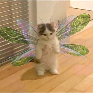 Meet your Posher, Charin